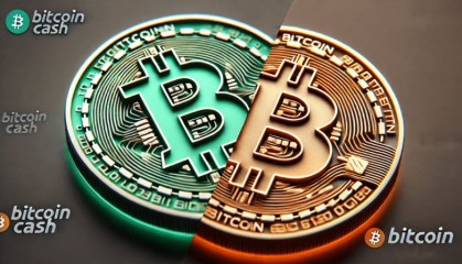 BCH-比特现金(比特币btc和比特现金bch有哪些不同点)