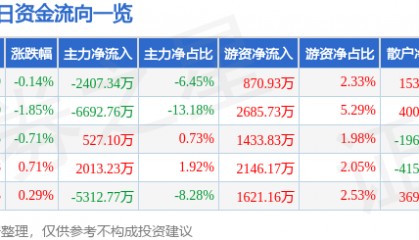 股票行情快报：远光软件（002063）3月18日主力资金净卖出2407.34万元