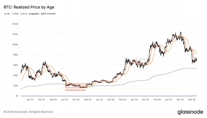 比特现金价格(比特现金价格查询)