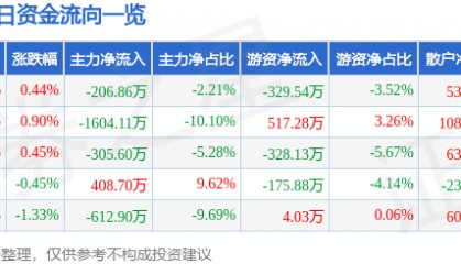 股票行情快报：华侨城Ａ（000069）6月25日主力资金净卖出206.86万元