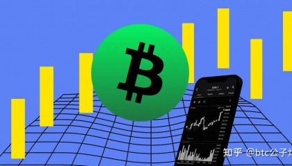 BCH-比特现金行情(比特现金交易所官方网站)