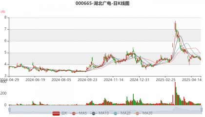 湖北广电：2024年亏损7.95亿元