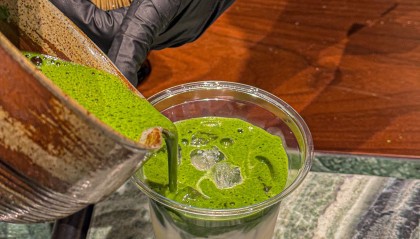 抹茶交易(抹茶交易所app下载)