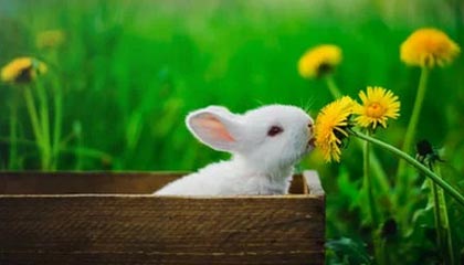 每周股票复盘：潮宏基（002345）连续三日涨幅偏离值累计超20%