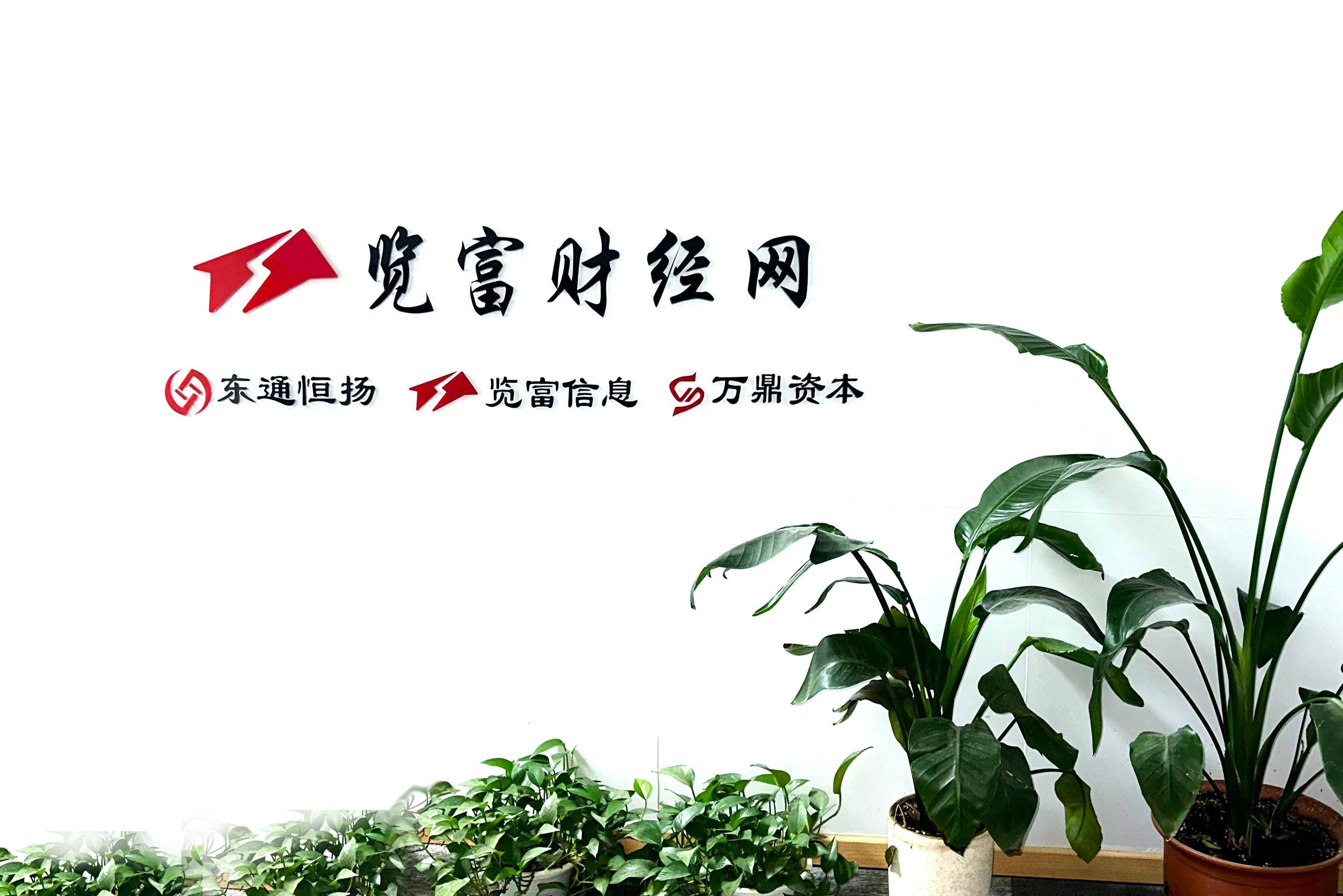 览富财经网荣登2024新浪财经头条年度榜单，股票领域TOP10实力彰显