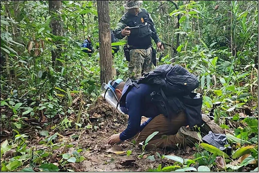 邀47国武官见证,佩通坦抓到洪森破绽,能否打一场漂亮翻身仗?